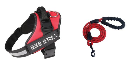 Fashion Simple Pet Leash And Harness Set (Option: Red-XL)