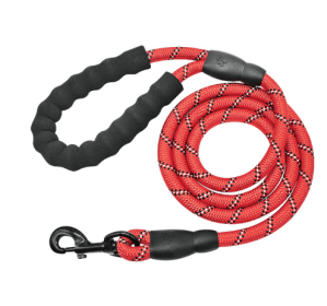 Nylon Reflective Dog Leash For Small Medium Large Dogs (Option: Red)
