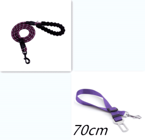 Nylon Reflective Dog Leash For Small Medium Large Dogs (Option: Purple set)