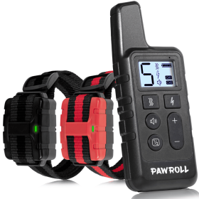 Two Training Collars With Remote For 2 Dogs, Black And Red (Option: Black)