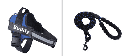 Fashion Simple Pet Leash And Harness Set (Option: Blue-XL)