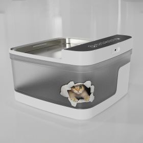Filtered Pet Water Dispenser For Dogs Or Cats (Option: B)