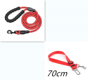 Nylon Reflective Dog Leash For Small Medium Large Dogs (Option: Red set)