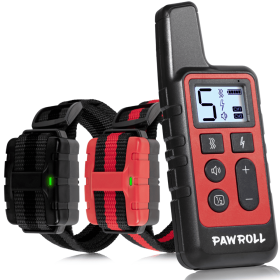 Two Training Collars With Remote For 2 Dogs, Black And Red (Option: Red)