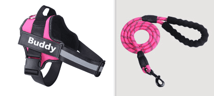 Fashion Simple Pet Leash And Harness Set (Option: Pink-L)