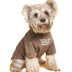Cute Round Neck T-shirt For Dogs (Option: Khaki-XXL)